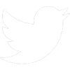 icon-twitter-white